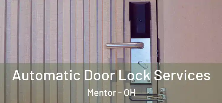 Automatic Door Lock Services Mentor - OH