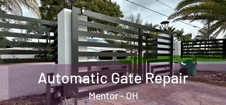 Automatic Gate Repair Mentor - OH