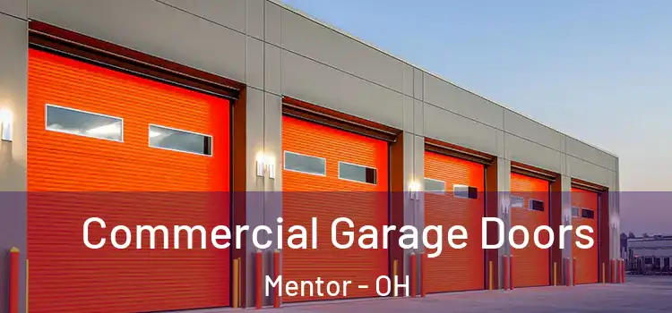 Commercial Garage Doors Mentor - OH