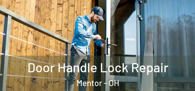  Door Handle Lock Repair Mentor - OH