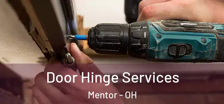 Door Hinge Services Mentor - OH