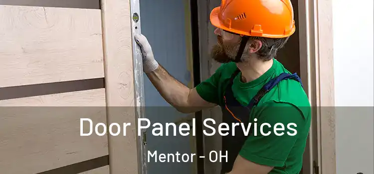 Door Panel Services Mentor - OH