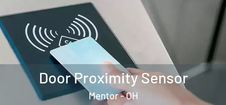 Door Proximity Sensor Mentor - OH
