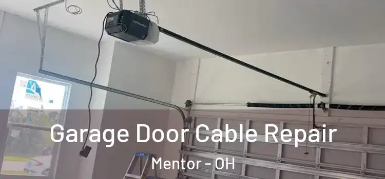  Garage Door Cable Repair Mentor - OH