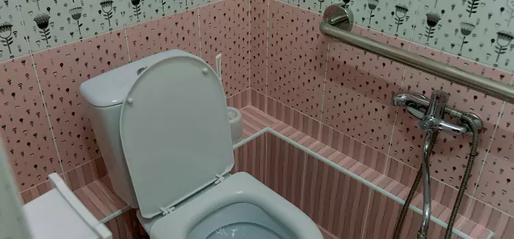 Meeting Diverse Needs With Accessible Restroom Solutions in Mentor, OH
