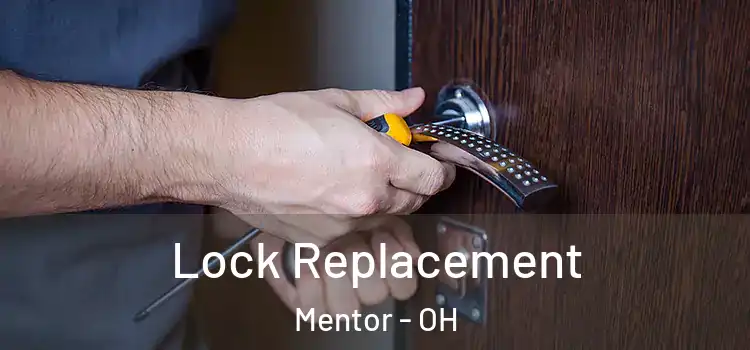  Lock Replacement Mentor - OH