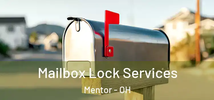 Mailbox Lock Services Mentor - OH