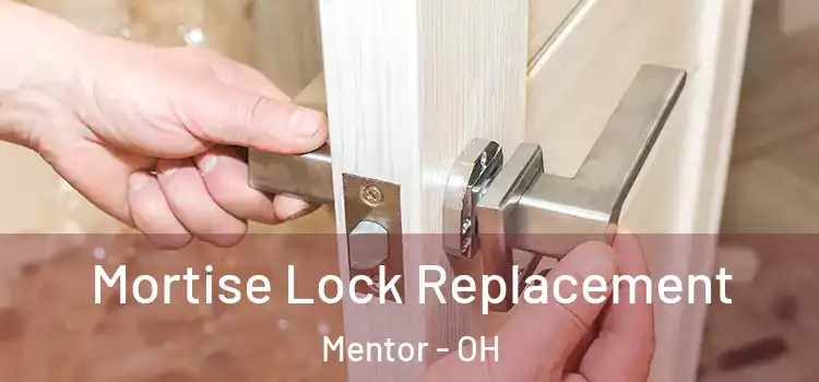 Mortise Lock Replacement Mentor - OH