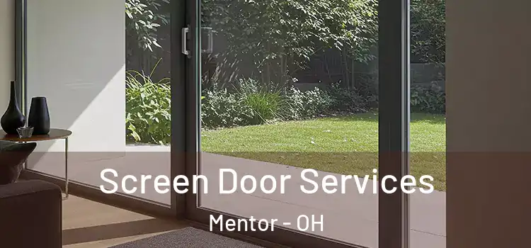 Screen Door Services Mentor - OH