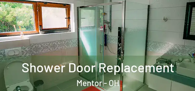 Shower Door Replacement Mentor - OH