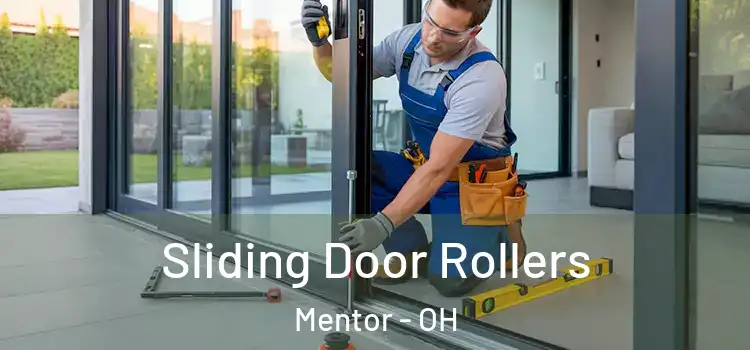 Sliding Door Rollers Mentor - OH