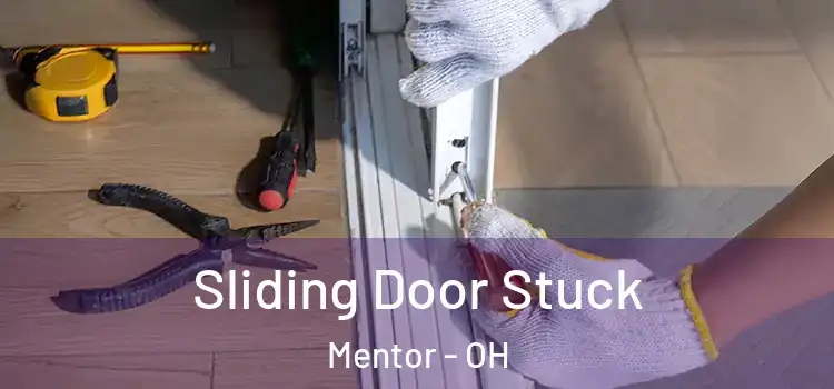  Sliding Door Stuck Mentor - OH