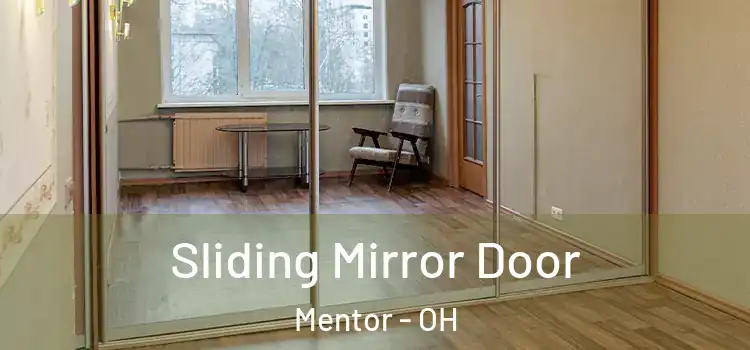  Sliding Mirror Door Mentor - OH