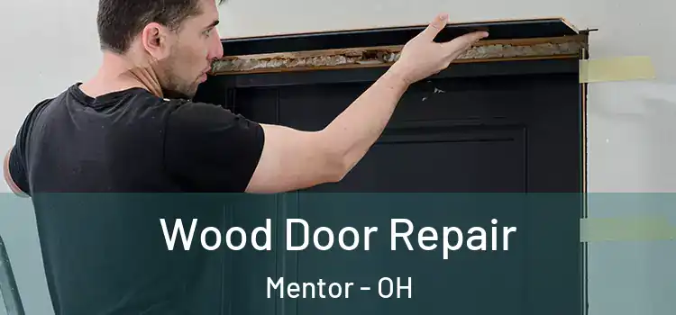  Wood Door Repair Mentor - OH